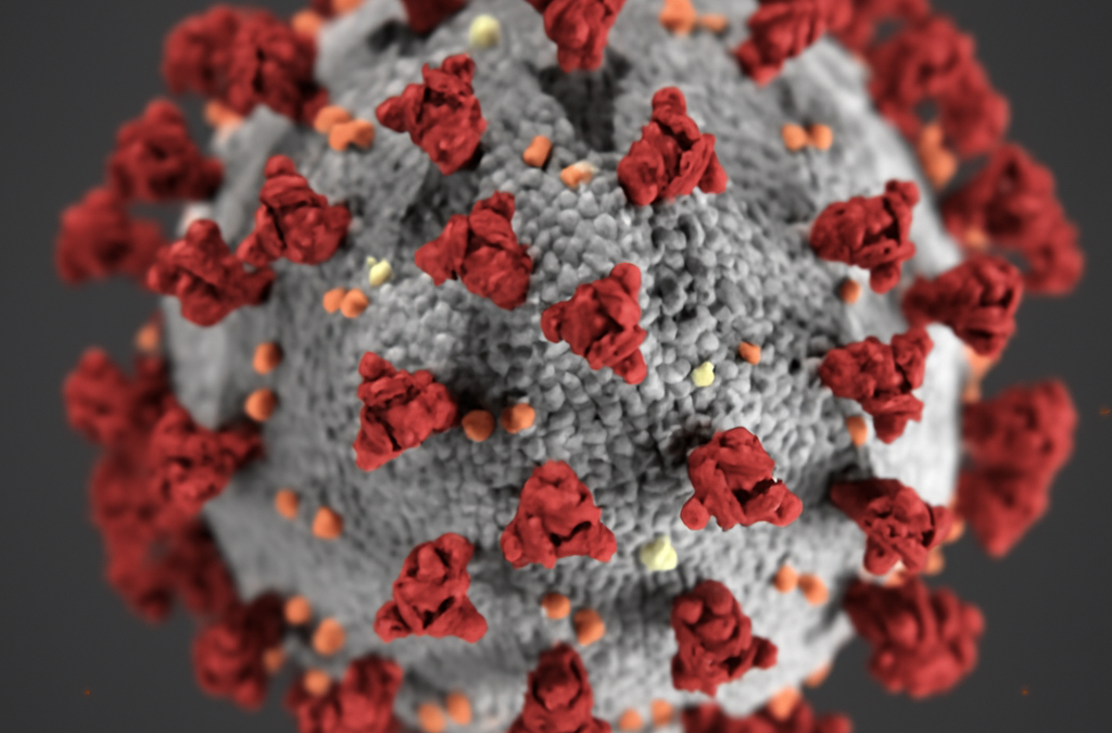 The Royal Marsden’s Digital Response to COVID-19: Lessons from the Frontline