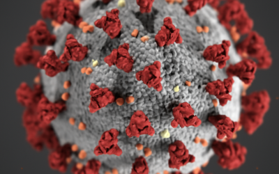 The Royal Marsden’s Digital Response to COVID-19: Lessons from the Frontline